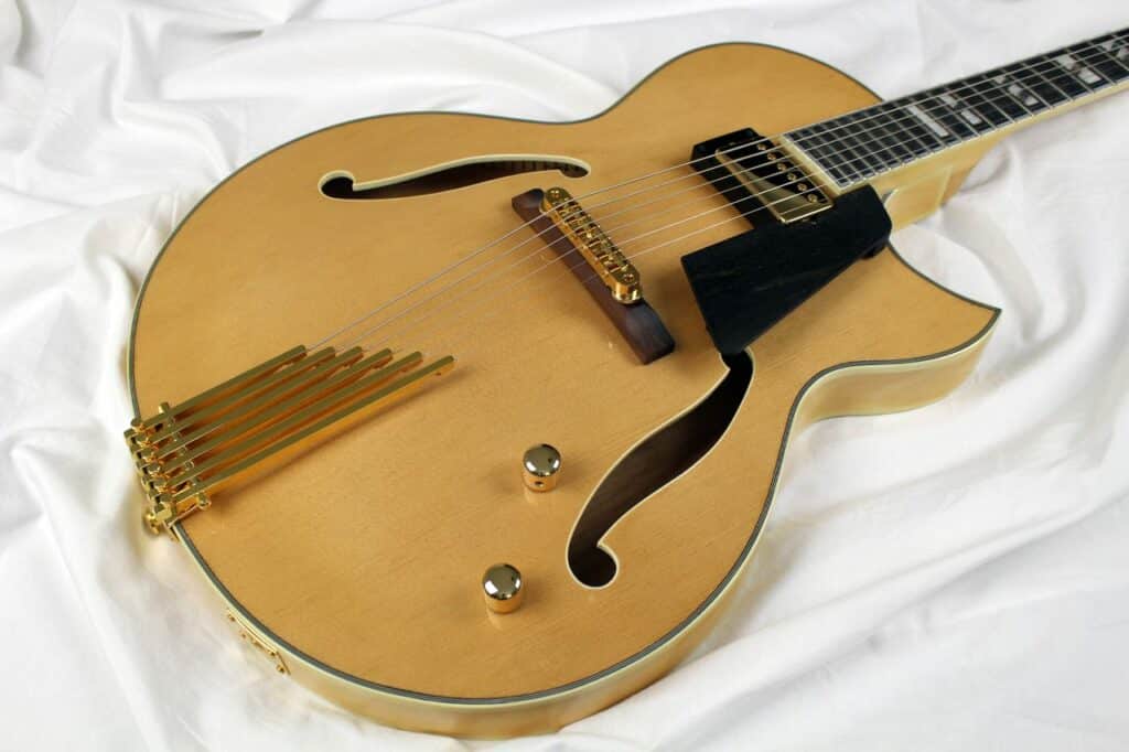 Natural Blonde thin body archtop guitar